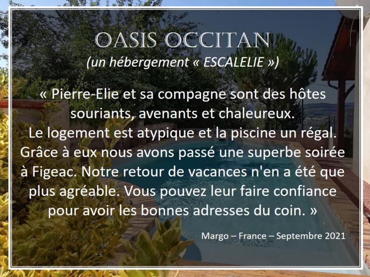 Holiday home L'oasis Occitan *